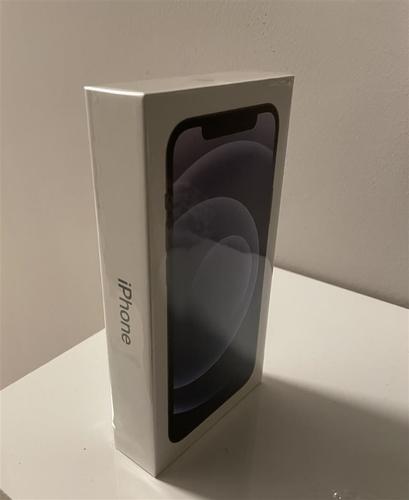 iPhone 12 