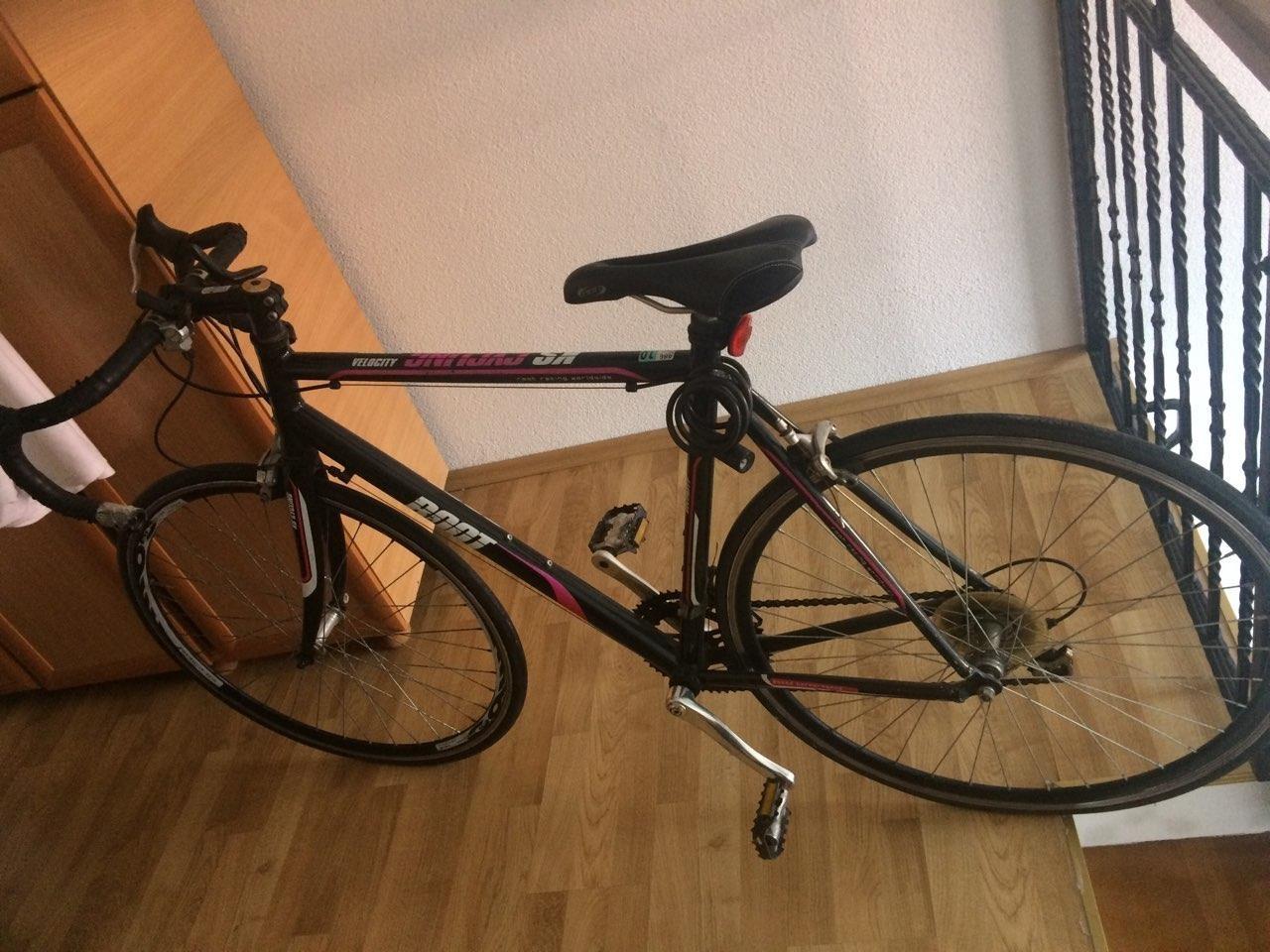 shitet-bicikleta-sportive-root