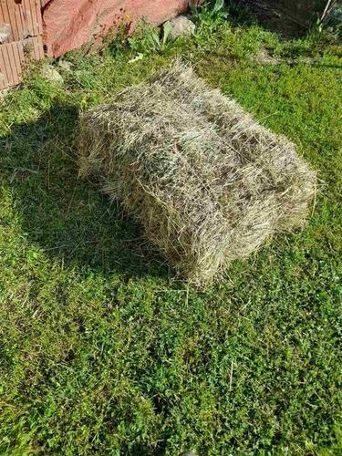 San