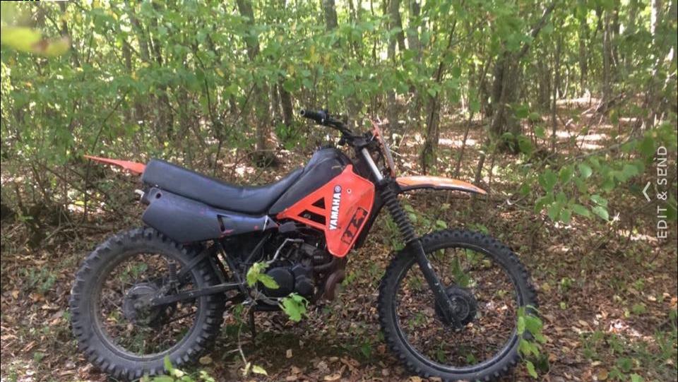 shitet
