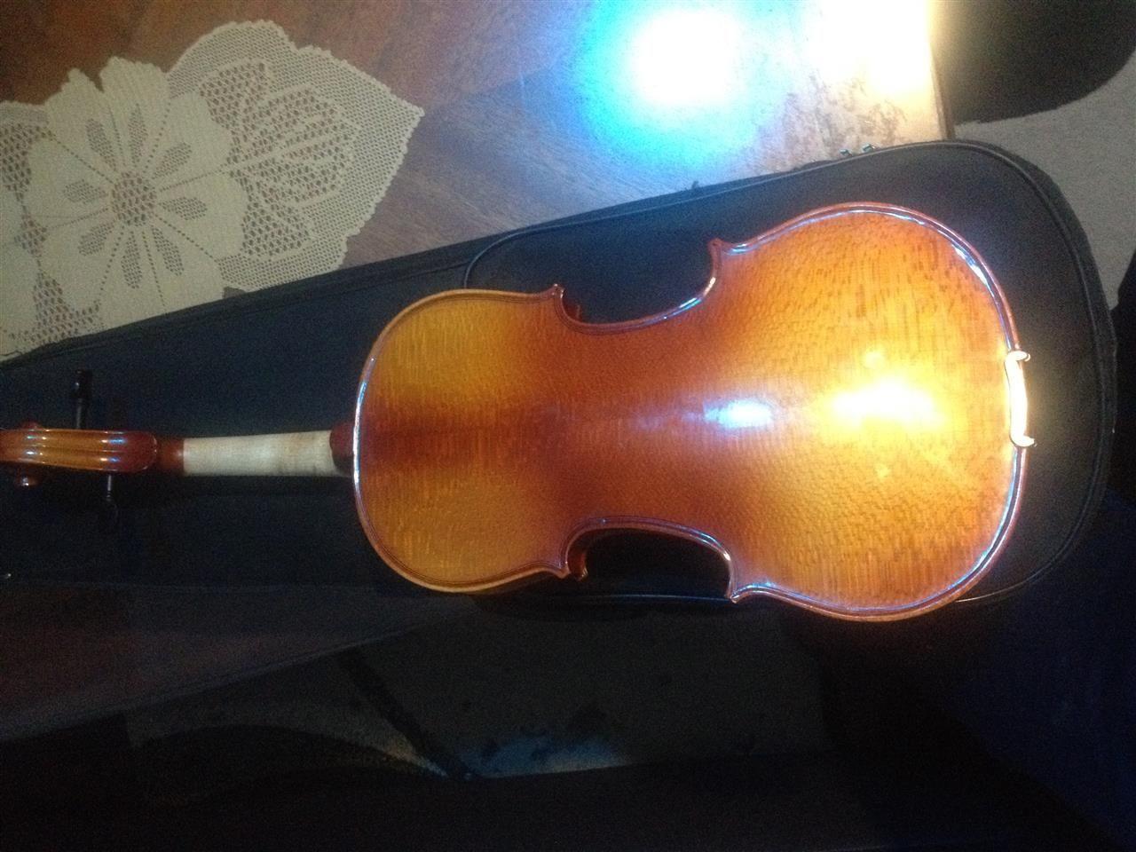 Violina