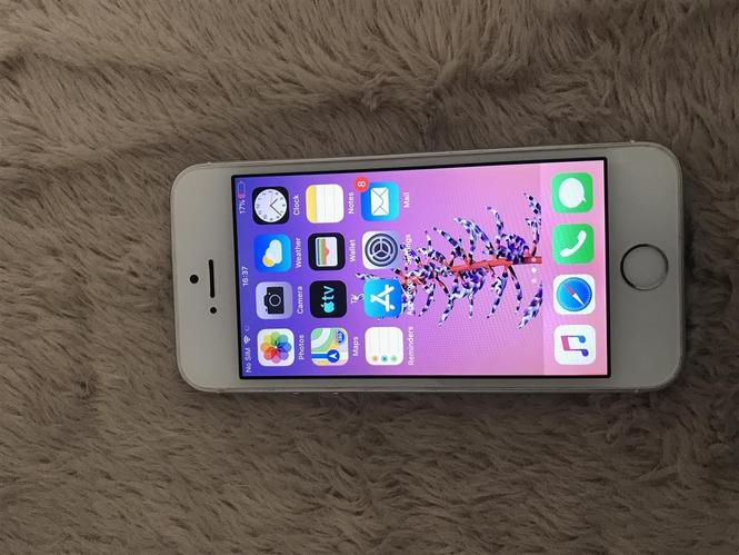 iPhone 5s 