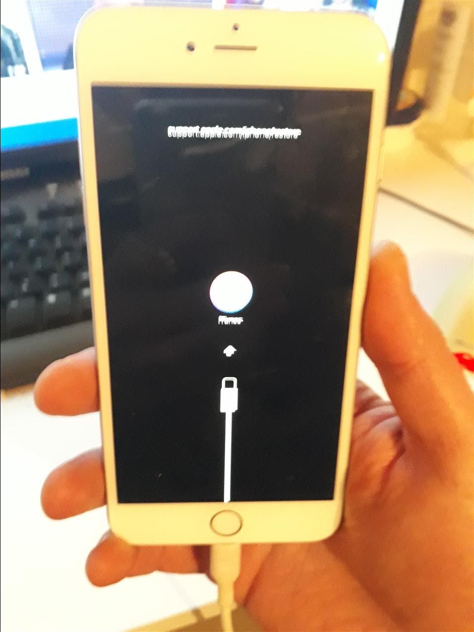 iphone-6plus