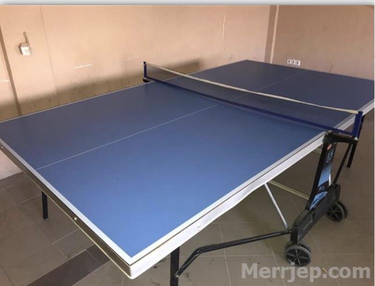 Ping-pong