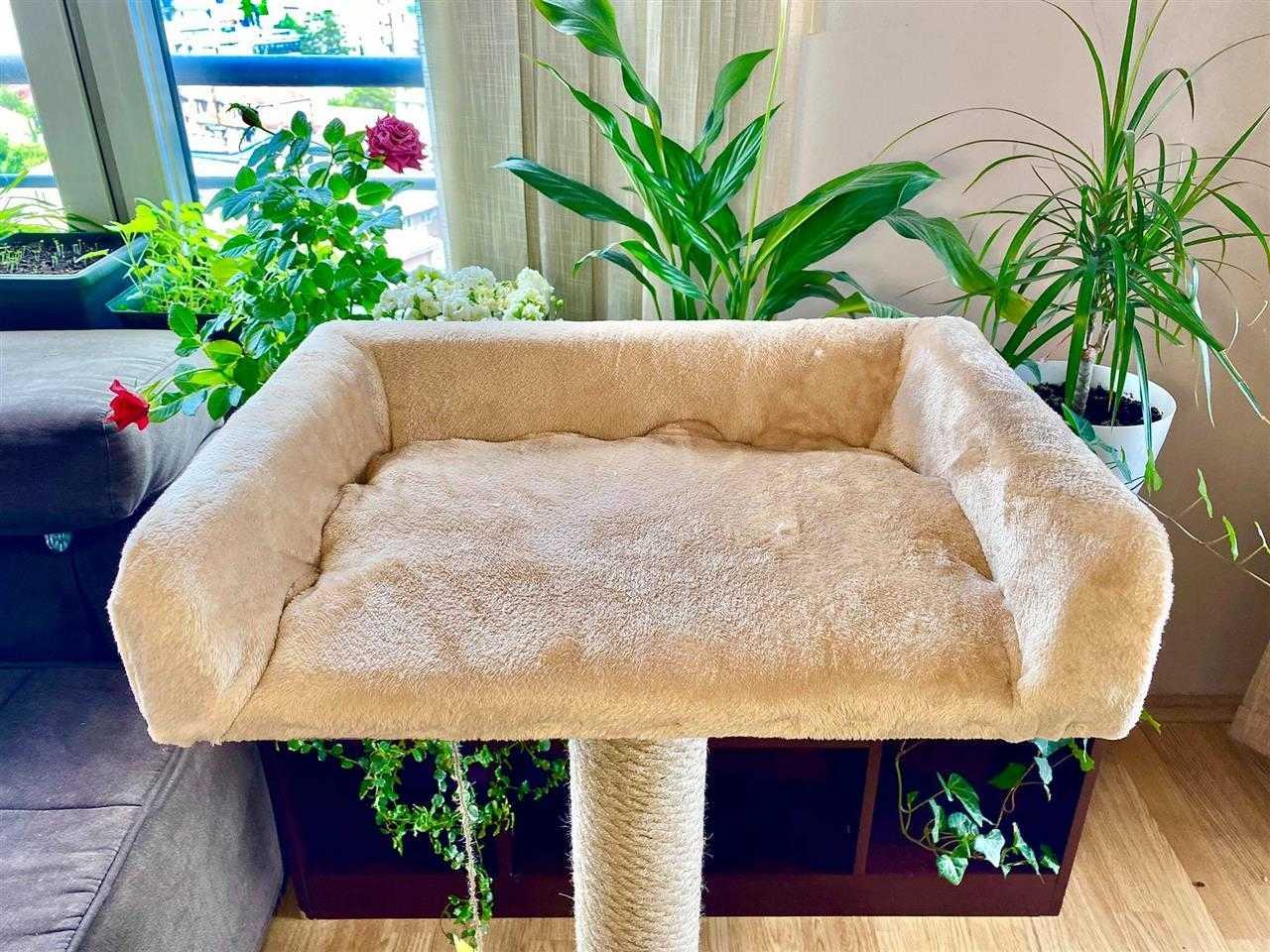 Cat-Tree