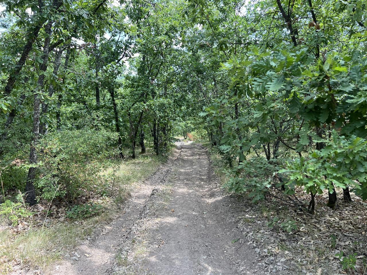 Shitet-parcella-1h-24ari-ne--livoq--parcella-ka-rrugen