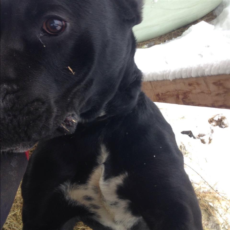 She-s-