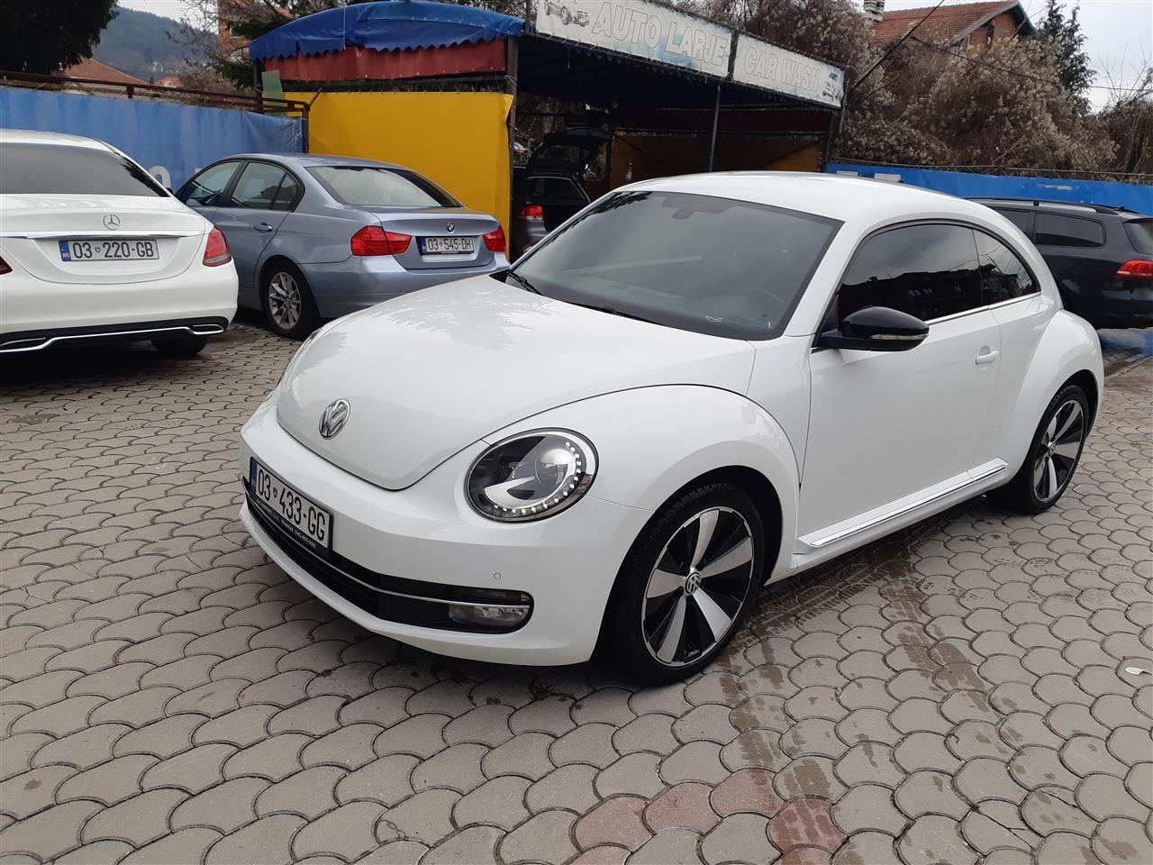 Beetle