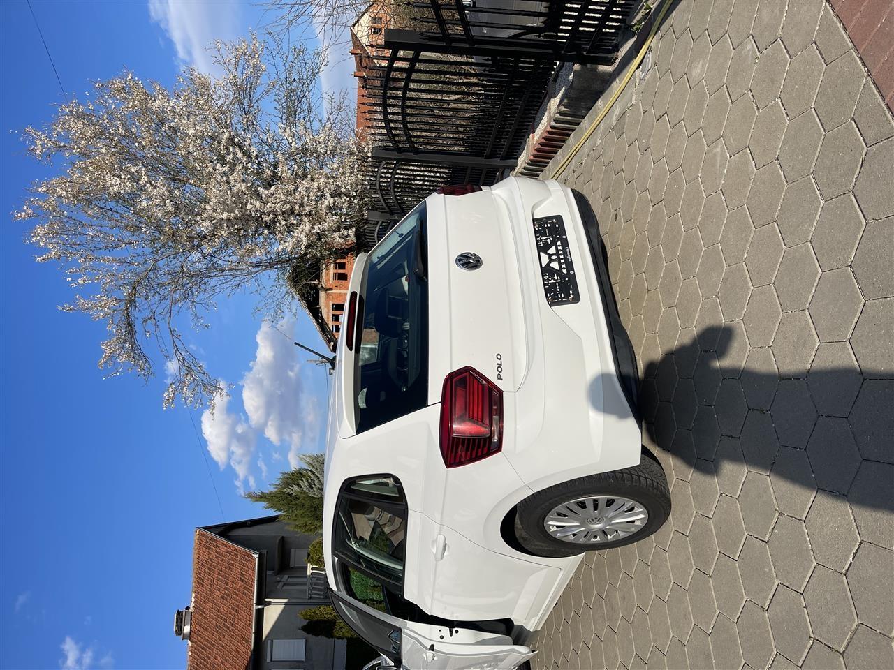Polo