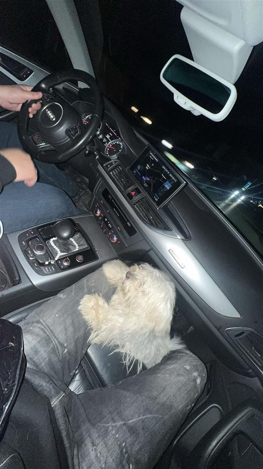 Maltezer
