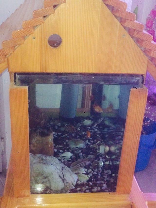 Akuarium