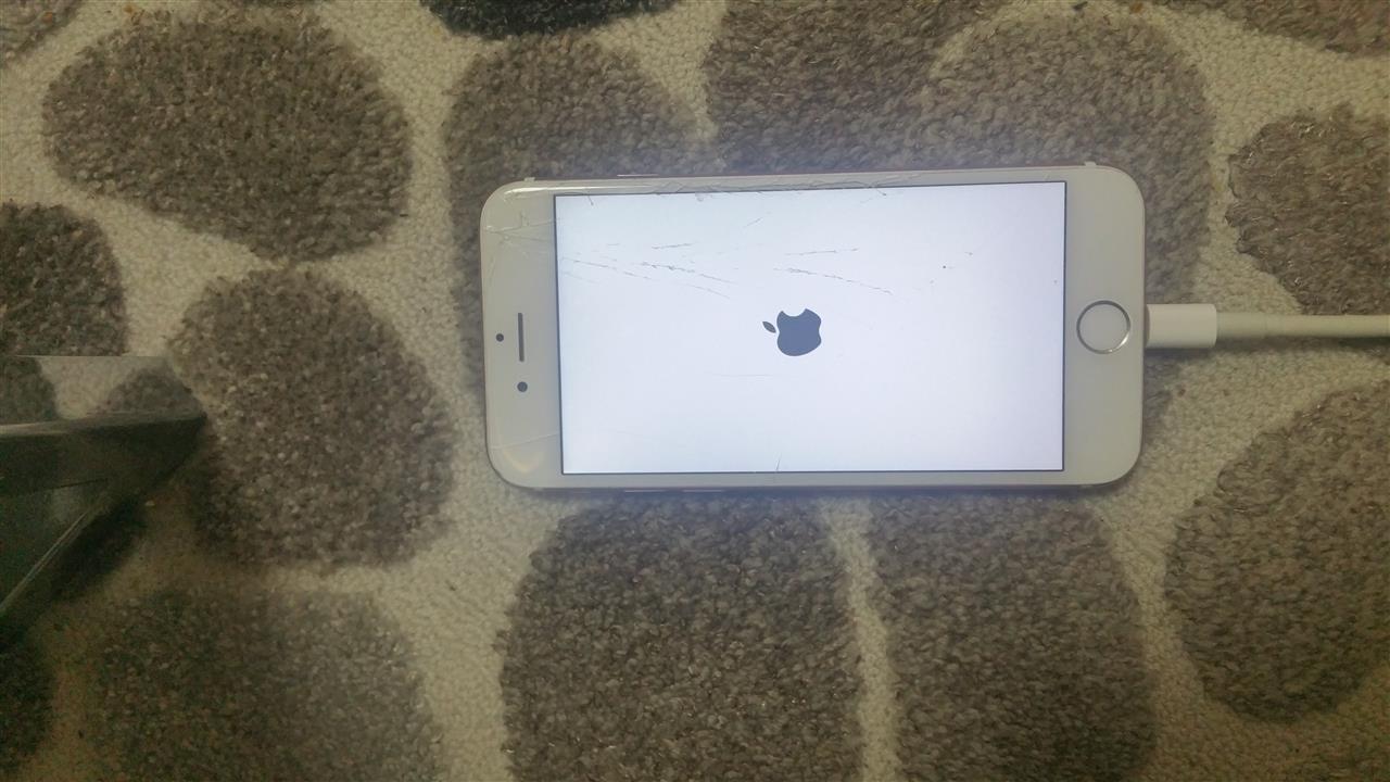 Shiten-iphonat-