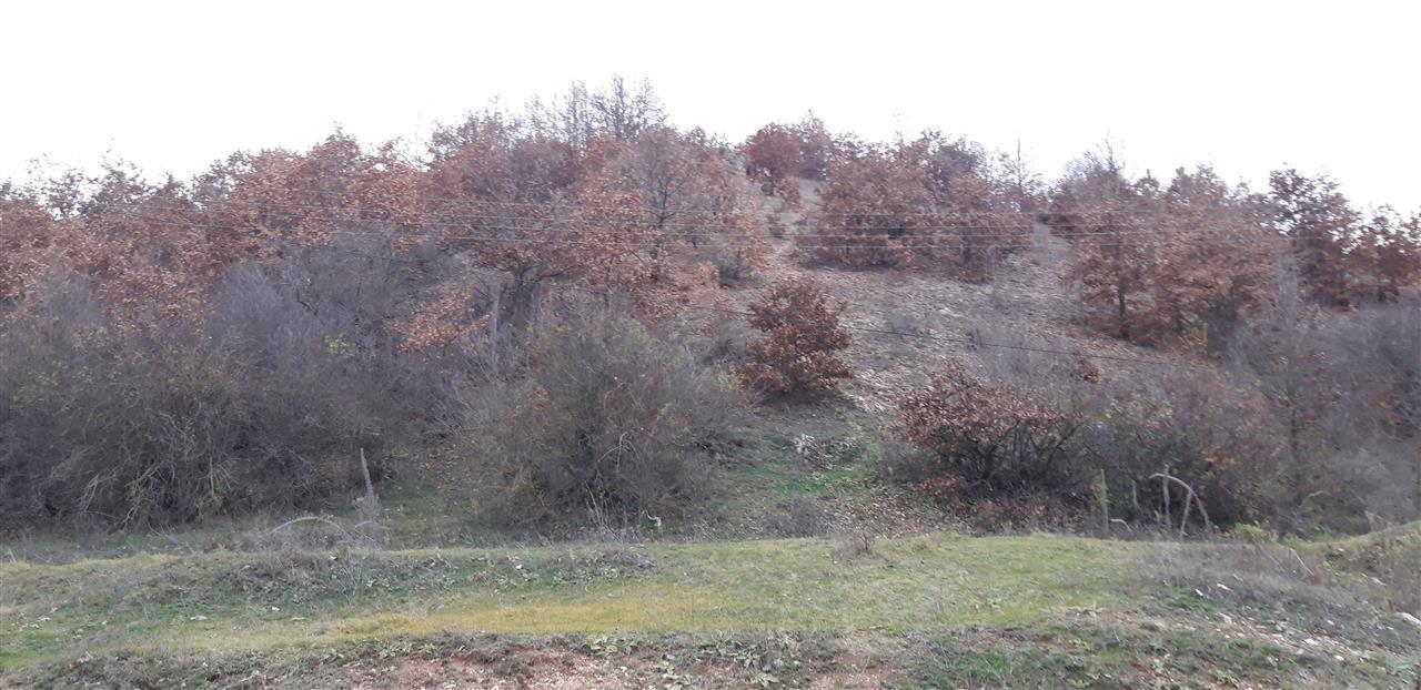 Tokë-Koder-për-GURTHYES