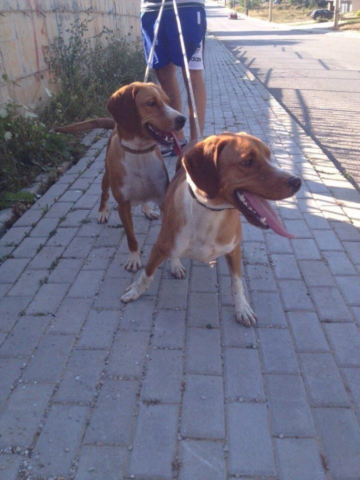 Zagar-