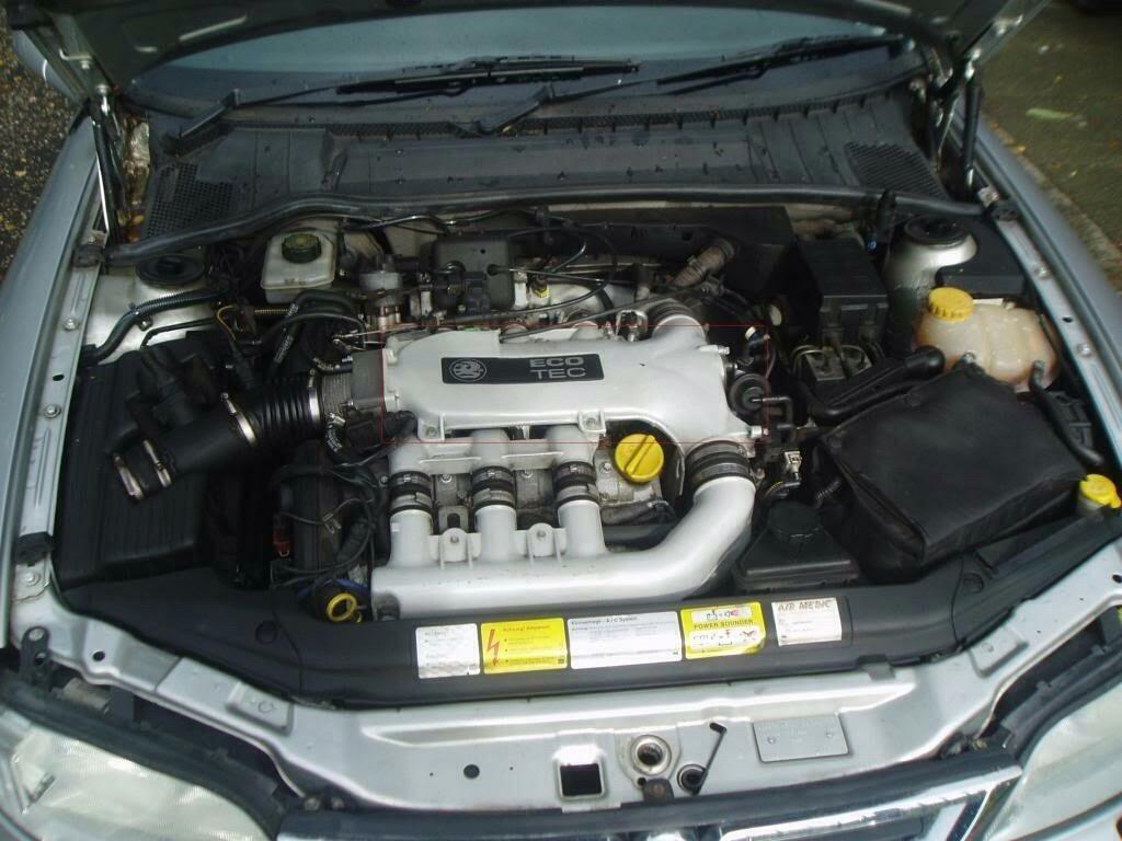 Vectra