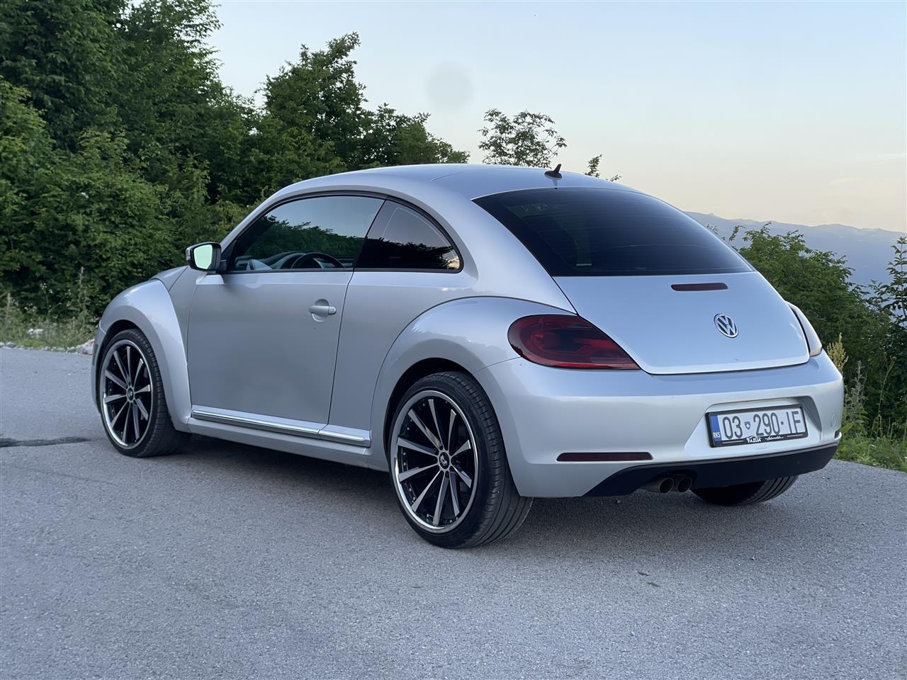 Beetle-