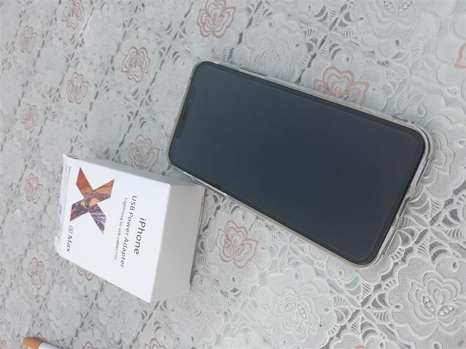 iPhone X