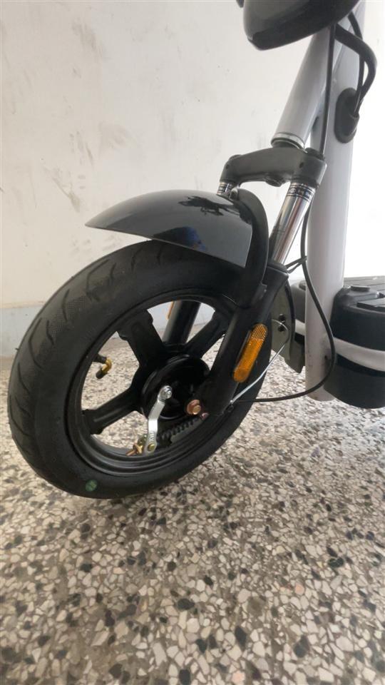 Motorr-Elektrik