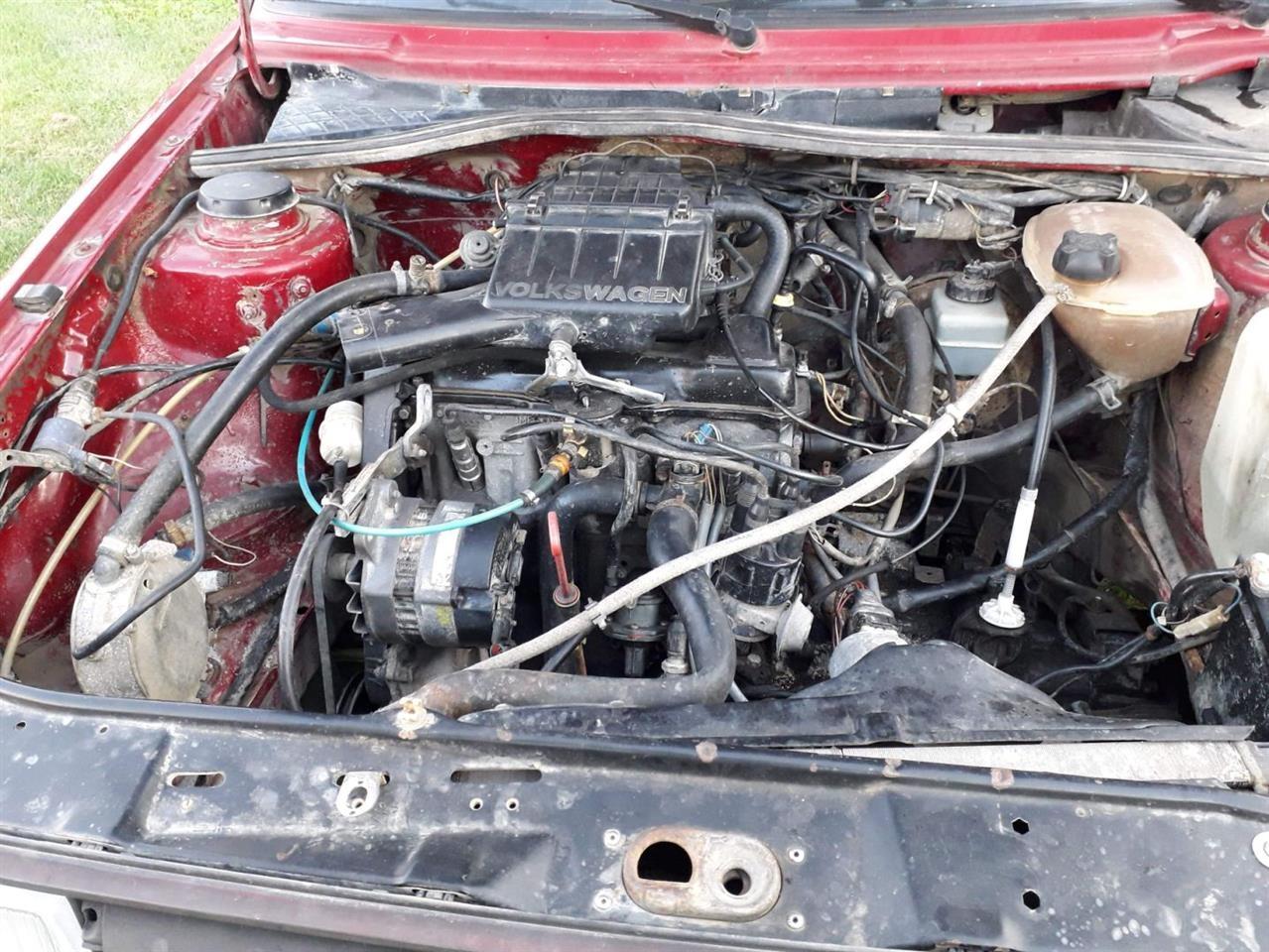 Jetta