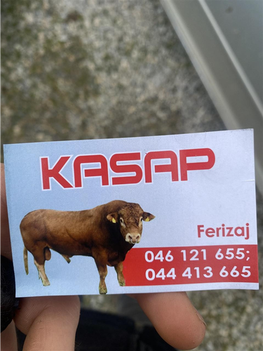 kasapi