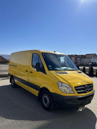 Sprinter