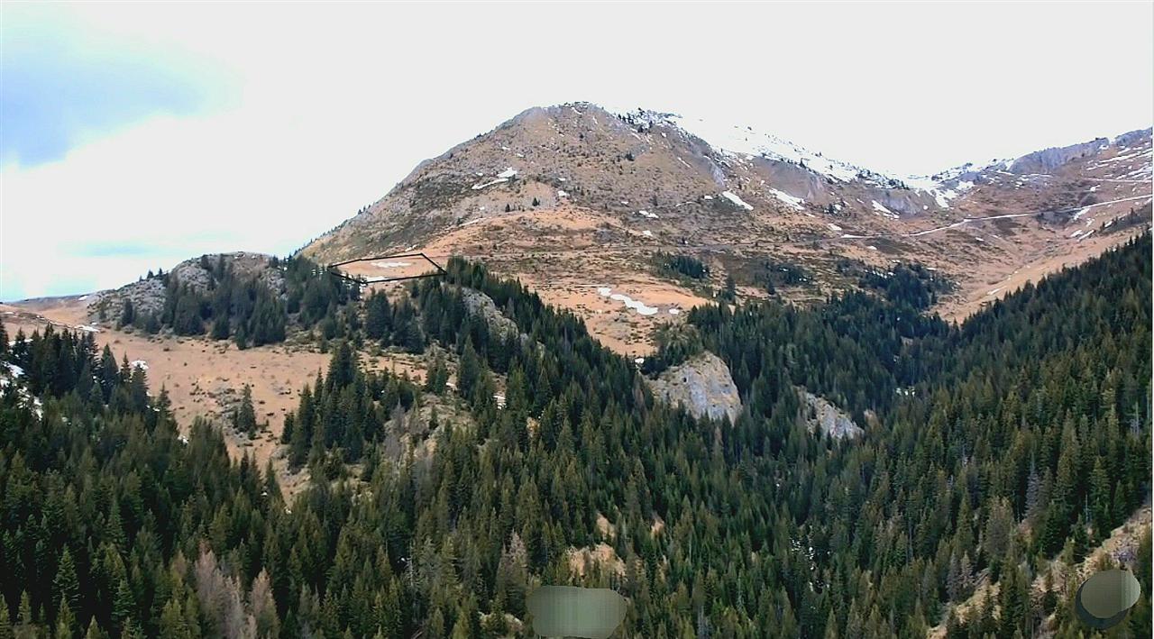 56-Ari-Tokë-për-Shitje-në-Hajlë-të-Koshutanit-Rugovë-Pejë