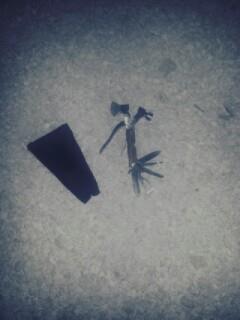 Sopate e vogel 