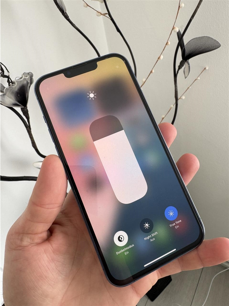 iphone-13-Pro-Max-----