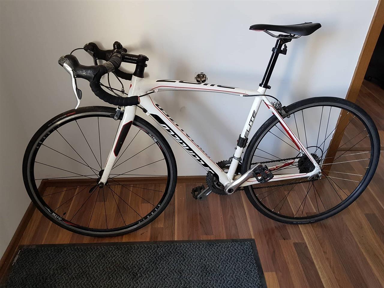 Specialized-Sport