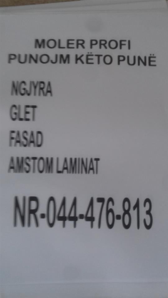 moler-profi