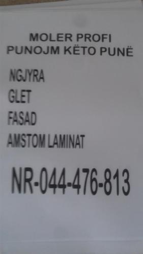 moler profi