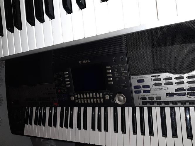 Korg
