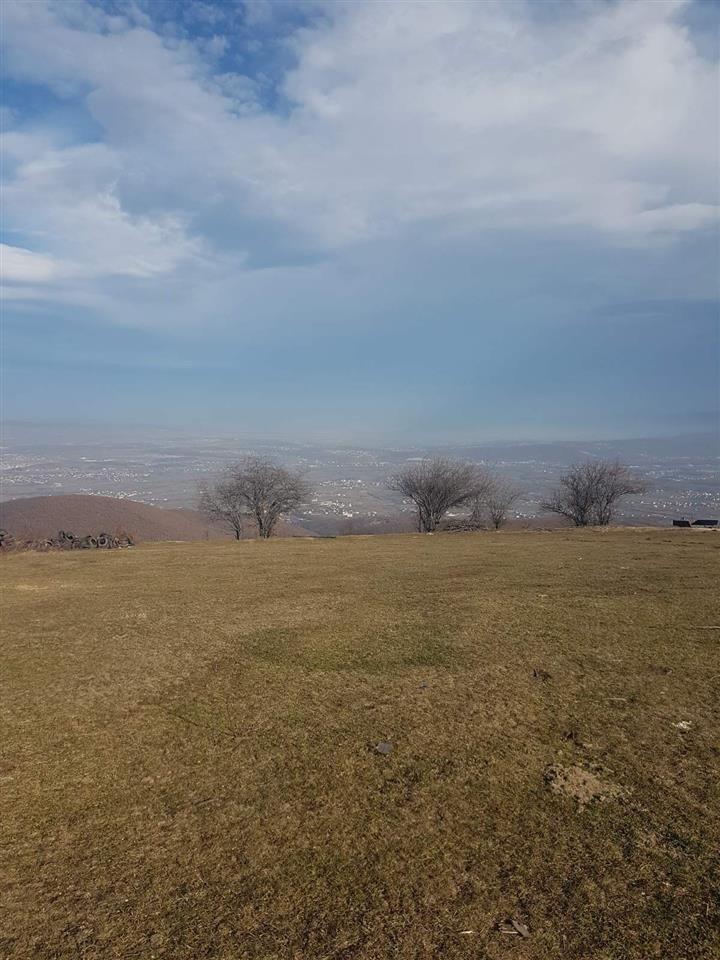 Burrnik-