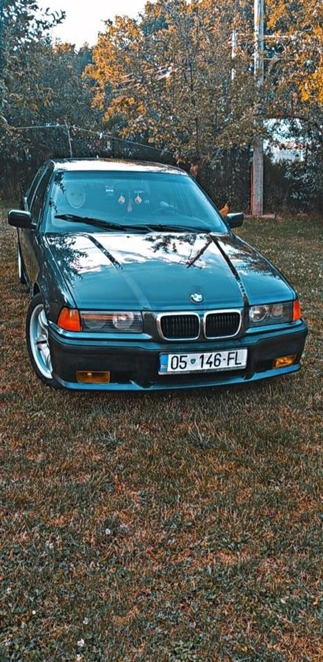 Shitet-bmw-e36