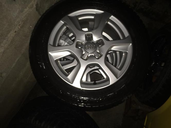 fellne per audi