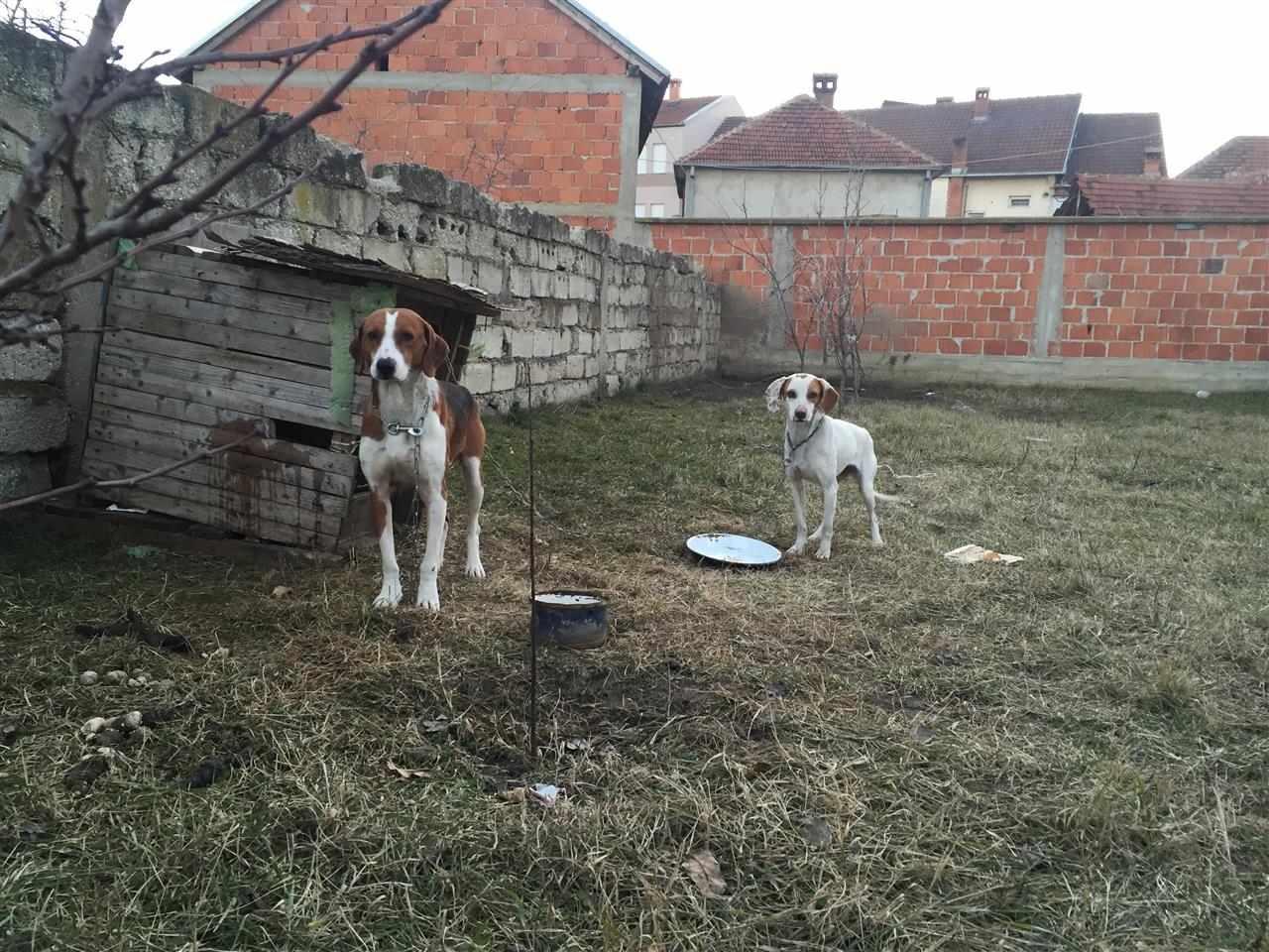 Zagar