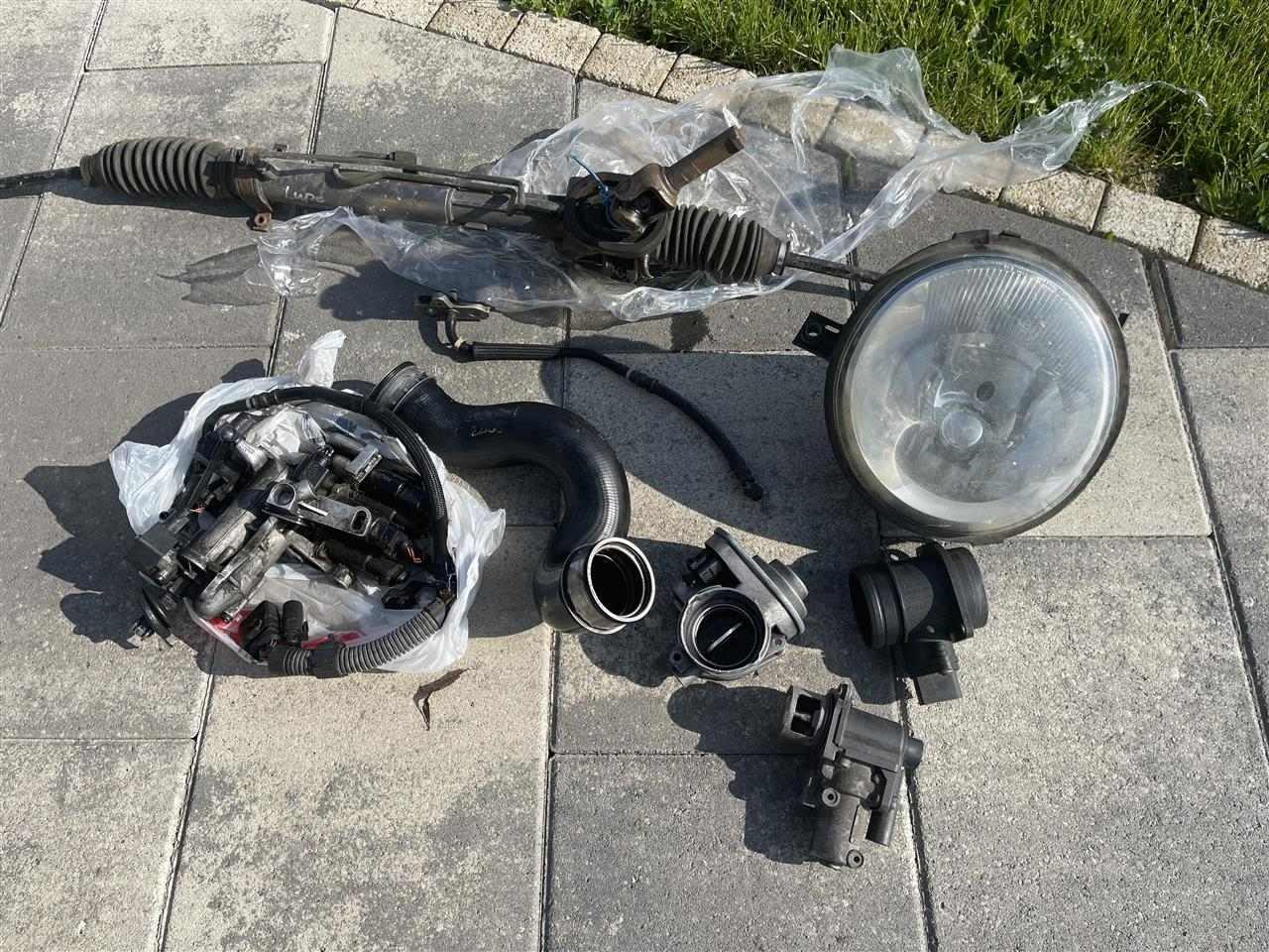 lupo