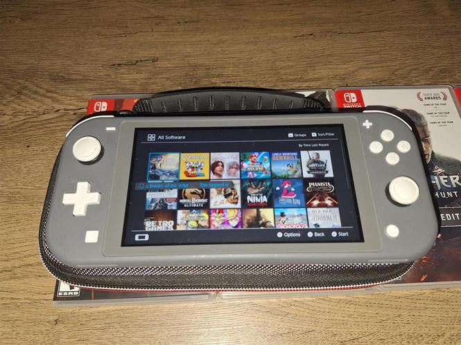 Nintendo switch lite
