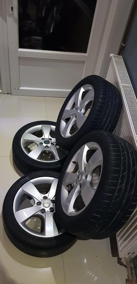 Fellne-17-