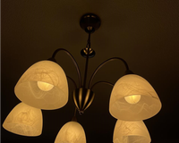 Lluster  4 copa
