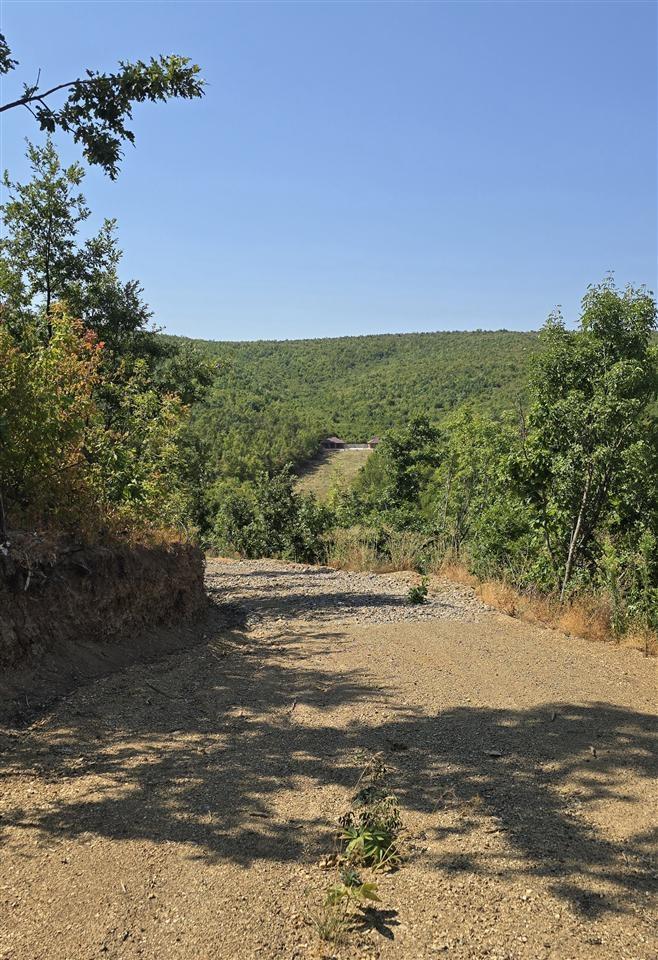 Troje-për-Villa-ne-Trudë-te-Bernices