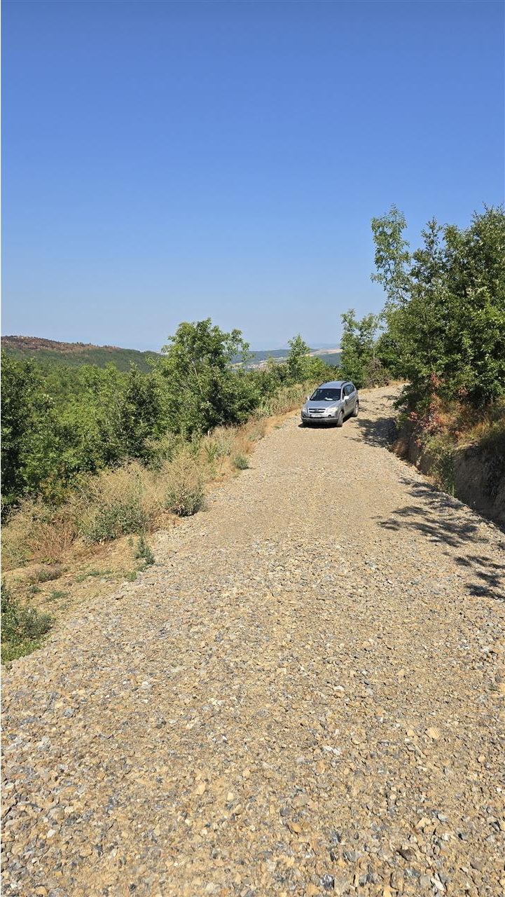 Troje-për-Villa-ne-Trudë-te-Bernices