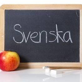 Kurs-suedisht